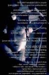 flyer back