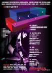 flyer back