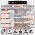 flyer back