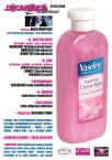 flyer back