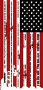 flyer back