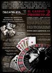 flyer back