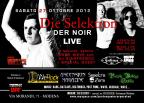flyer back