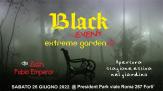 flyer front